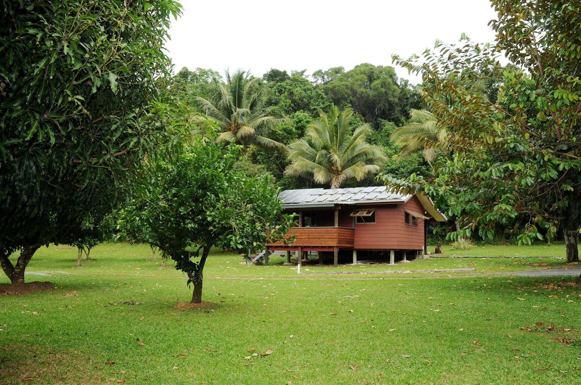 Daintree Rainforest Bungalows Villa Cow Bay ภายนอก รูปภาพ